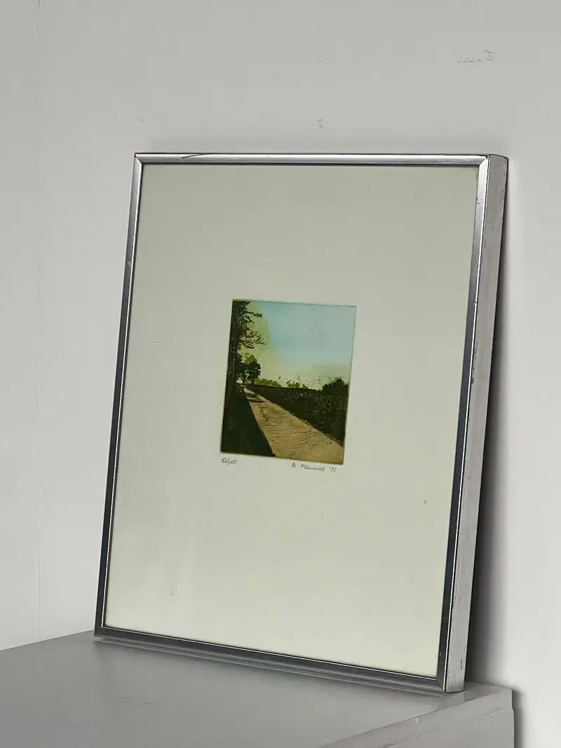 Framed Landscape