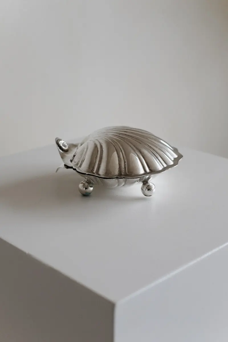 Large Shell Shaped Dish