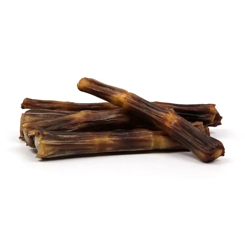 Queue de bœuf pour chien
