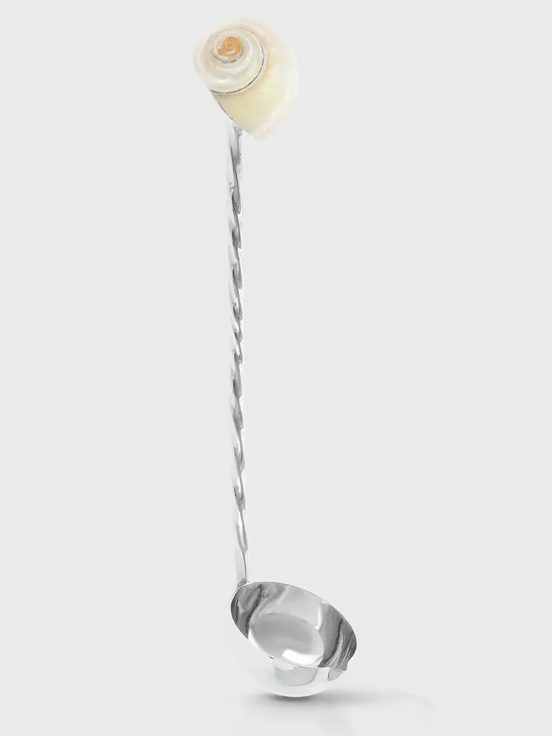 Spoon Shell