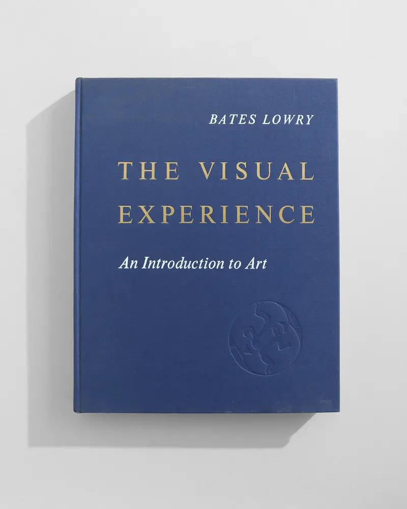 The Visual Experience Book